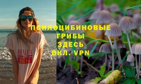 герыч Алзамай