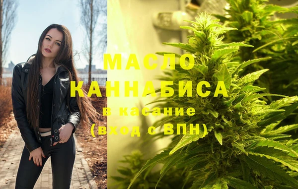 индика Елабуга